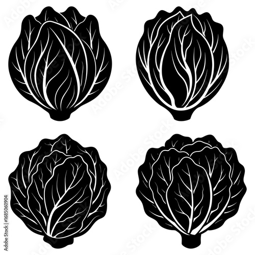Four black and white cabbage heads with detailed leaf venation in a minimalist vector illustration style
