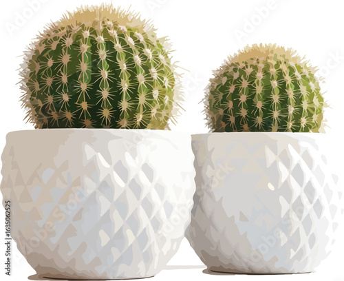 Two round green barrel cacti with textured white pots against a clean white background