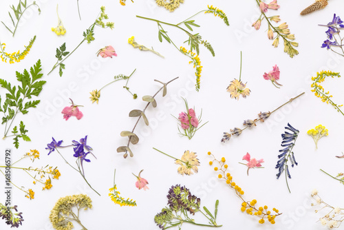 Dried flowers on light back...