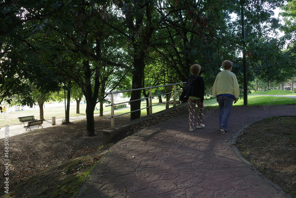 Fototapeta premium Women walking in the park