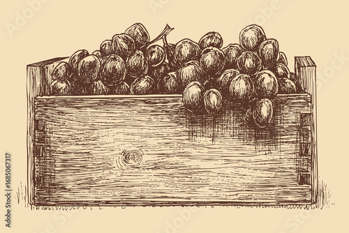 Grape crate illustration in a vintage style. This vector illustration can be used in any size you like for advertising, logos, and other work.