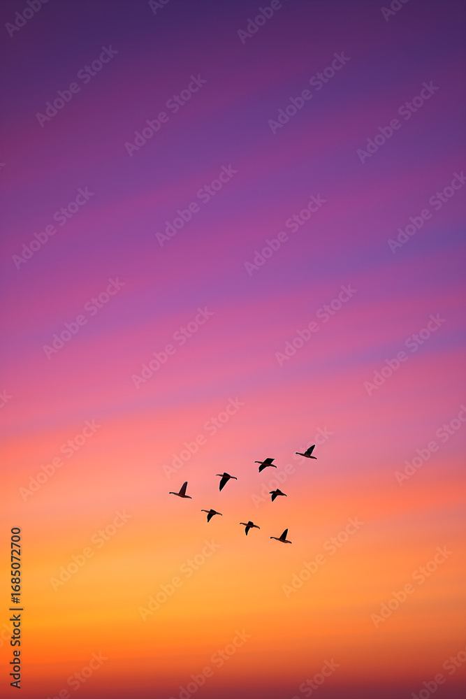 Fototapeta premium Flock of birds flying in formation against vibrant purple and orange sunset sky