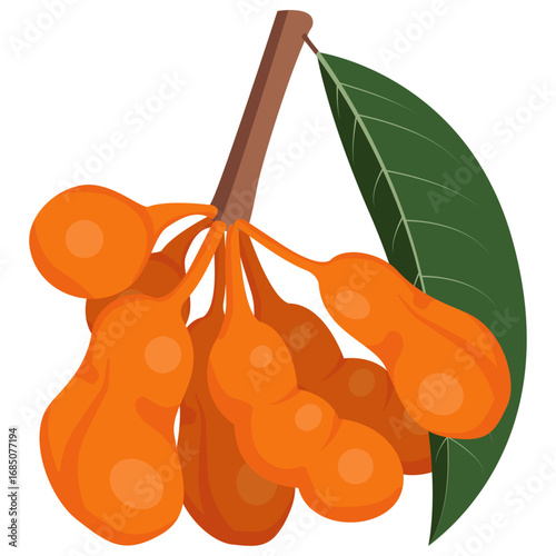 zig zag vine fruit vector drawing.