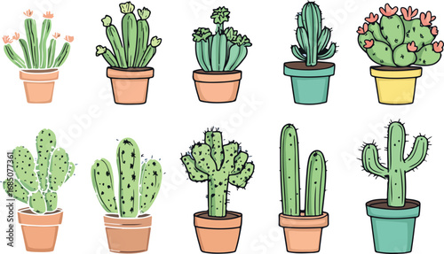 Collection of diverse potted cacti and succulents in colorful terracotta and ceramic planters