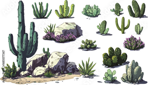 Collection of diverse desert cacti and succulents growing among textured rocks and sandy ground