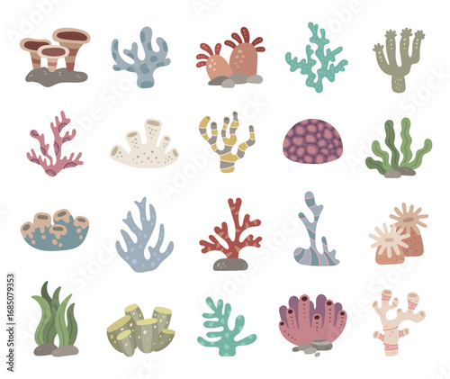 Coral reef set in scandinavian style