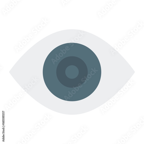 Eye icon. Vision symbol. Eye care and ophthalmology collection. Flat Icon