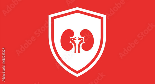 Vector illustration of stylized graphic of a kidney inside a shield, representing kidney health and protection