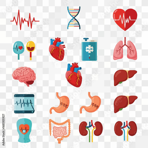 Collection of medical human organ icons including heart lungs brain stomach liver intestines and kidneys isolated on transparent background