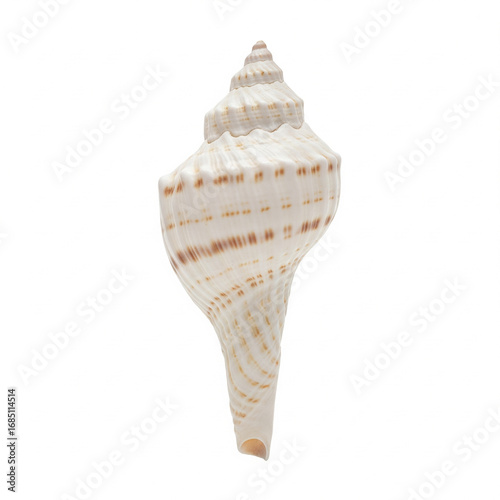 ultra realistic isolated shankh conch shell placed upright on pure white background for product and design use
