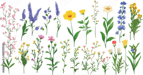 Collection of delicate watercolor wildflowers and green foliage arranged in a horizontal border on white