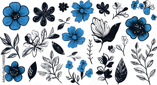 Collection of delicate blue and black floral elements and botanical illustrations on white background