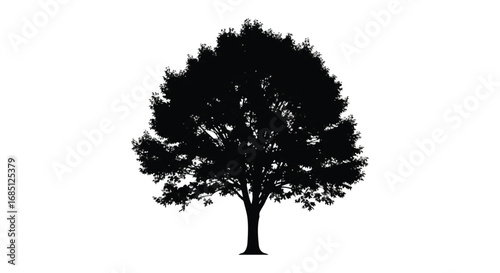 Silhouette of a deciduous tree vector illustration isolated on white background for nature designs and ecological projects