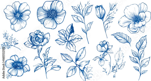 Delicate blue ink botanical sketch collection featuring blossoms leaves and floral elements