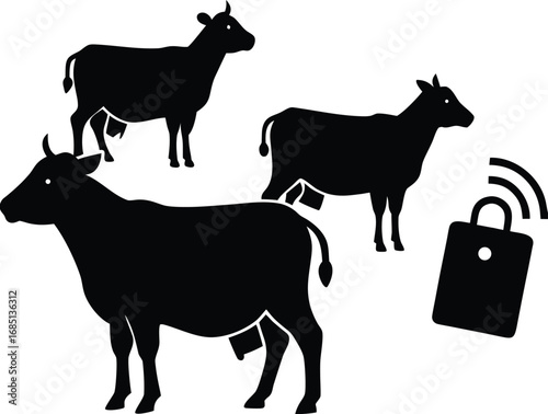 Silhouettes of three cows are shown with a wireless tracking device, symbolizing modern agricultural technology and animal monitoring.