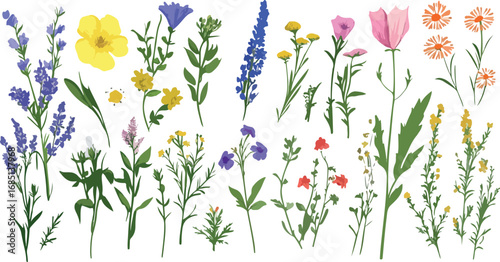 A vibrant collection of delicate wildflowers and garden blooms in a beautiful botanical arrangement