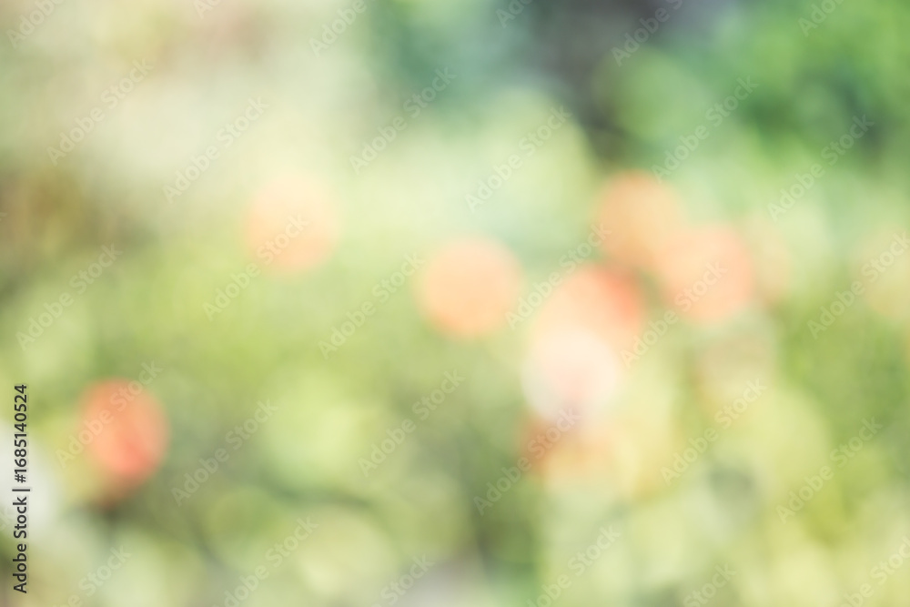 Obraz premium Soft Focus Background of Colorful Flowers in Green Garden Setting