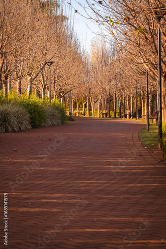road in the park