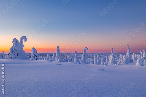 winter landscape with snow