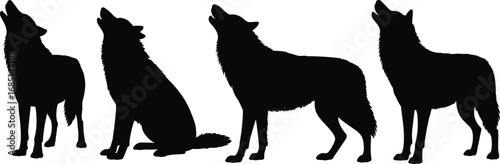 Black silhouette illustration of four wolves howling and standing in different poses, showcasing wild nature and animal behavior.