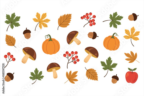 Autumn Season Elements Collection
