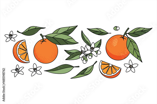 Orange Blossom Illustration
