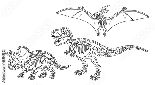 Minimal Anime Style Dinosaur Fossils Learning Coloring Page for Kids Educational Theme
