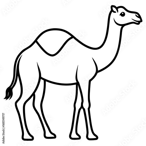 Camel Outline Vector Art