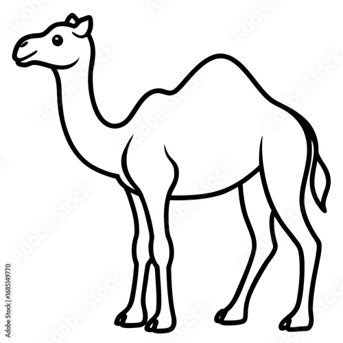 Camel Outline Vector Art