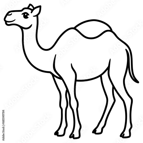 Camel Outline Vector Art