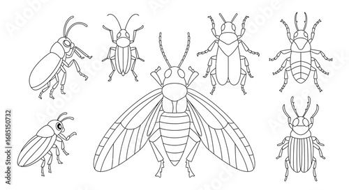 Minimalist Anime Style Educational Insects Coloring Page Kids Learning Activity