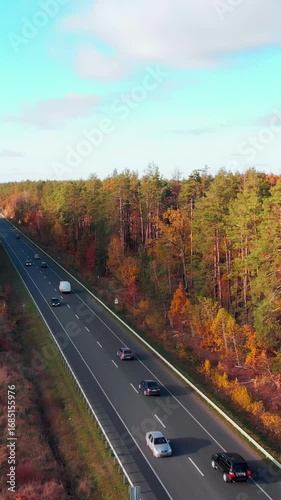 Straight asphalt road highway with cars in colorful autumn forest.Vertical video