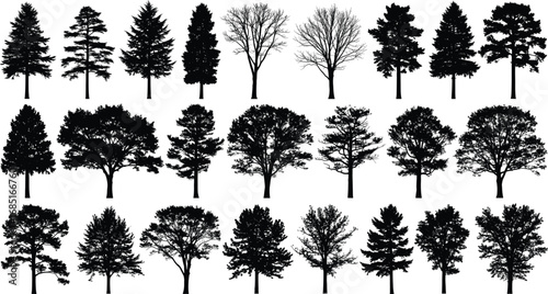 Silhouettes of diverse tree species in three rows showing seasonal variations, foliage density, and branching patterns for botanical and artistic reference