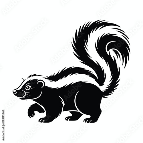 Black and white skunk with stripes