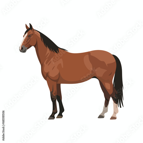 Brown horse standing in vector illustration