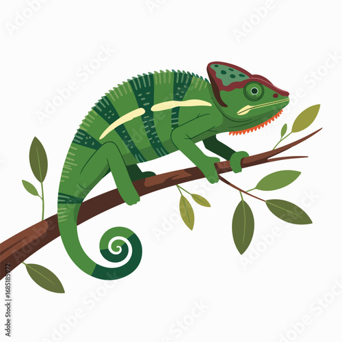 Illustration of a green chameleon on a branch