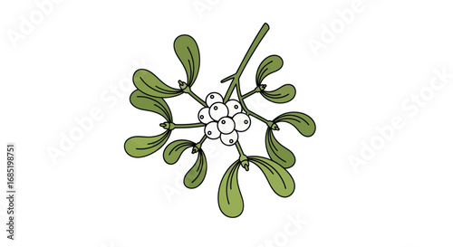 A sprig of mistletoe with green leaves and white berries.