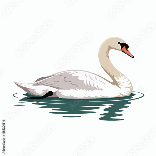 Graceful swan swimming in water