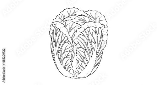 A delicious and versatile vegetable for healthy eating and culinary adventures
