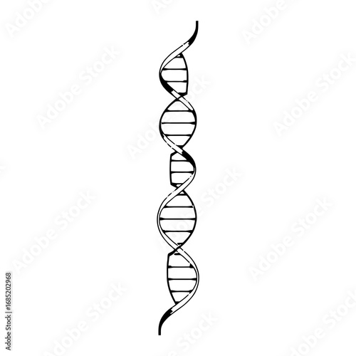 Elegant DNA strand illustration for medical research, biology studies, and genetic engineering needs