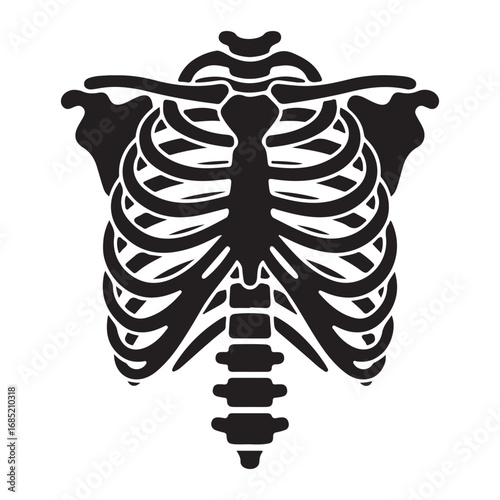 Human rib cage skeleton silhouette vector illustration