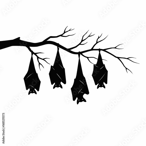 Group of bats hanging upside down on tree branch in silhouette  