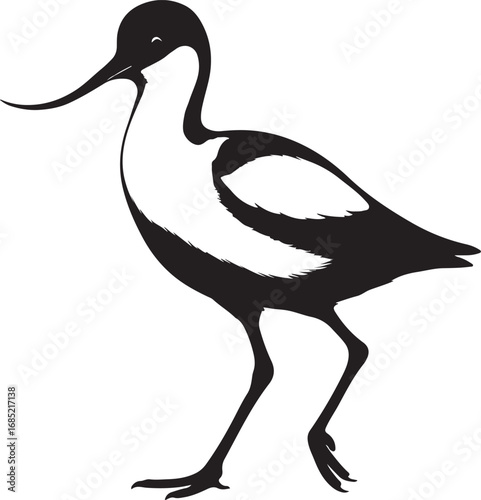 Elegant avocet bird in flight silhouette illustration