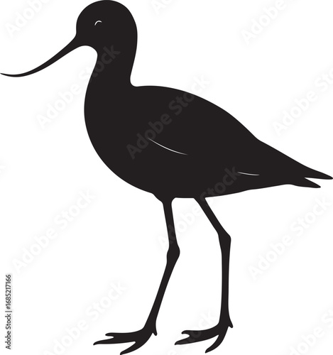Elegant avocet bird in flight silhouette vector illustration