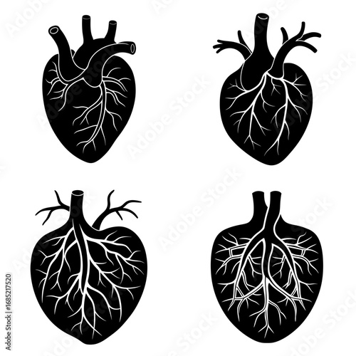 Four black and white heart illustrations showing different anatomical structures and vein arrangements
