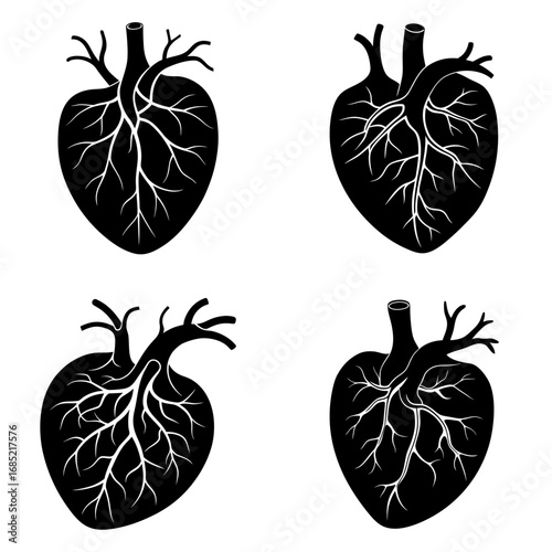 Four anatomical heart illustrations in black and white showing arteries and veins in a pattern design