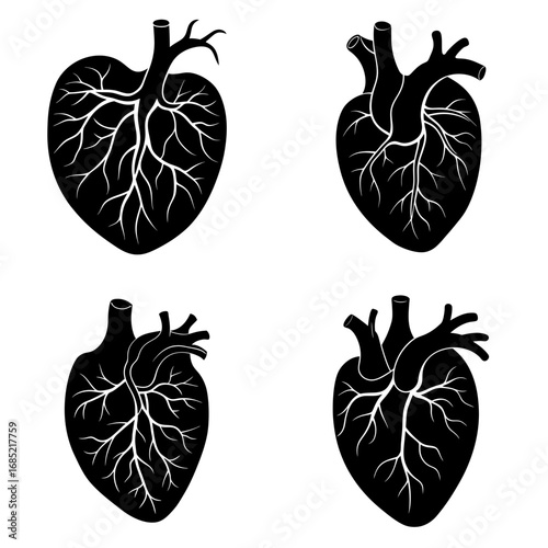 Four anatomical heart illustrations in black and white showing veins and arteries in different orientations