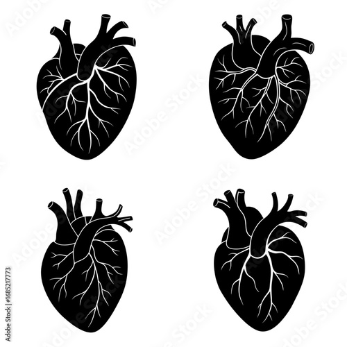 Four anatomical hearts in black and white displaying veins and arteries in a pattern format design