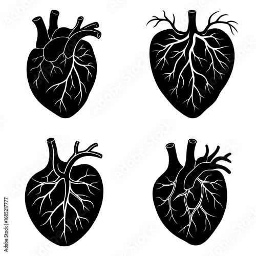 Four anatomical heart illustrations in black and white showing the organ and its vascular structure