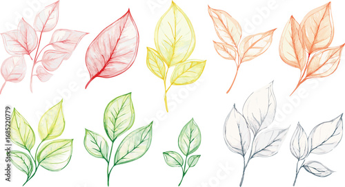 Delicate watercolor painted autumn leaves in various colors and translucent textures on white background